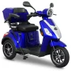 E-Trike 25 Pro