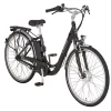 Prophete E-Bike 28 Zoll, BLAUPUNKT VR-Motor
