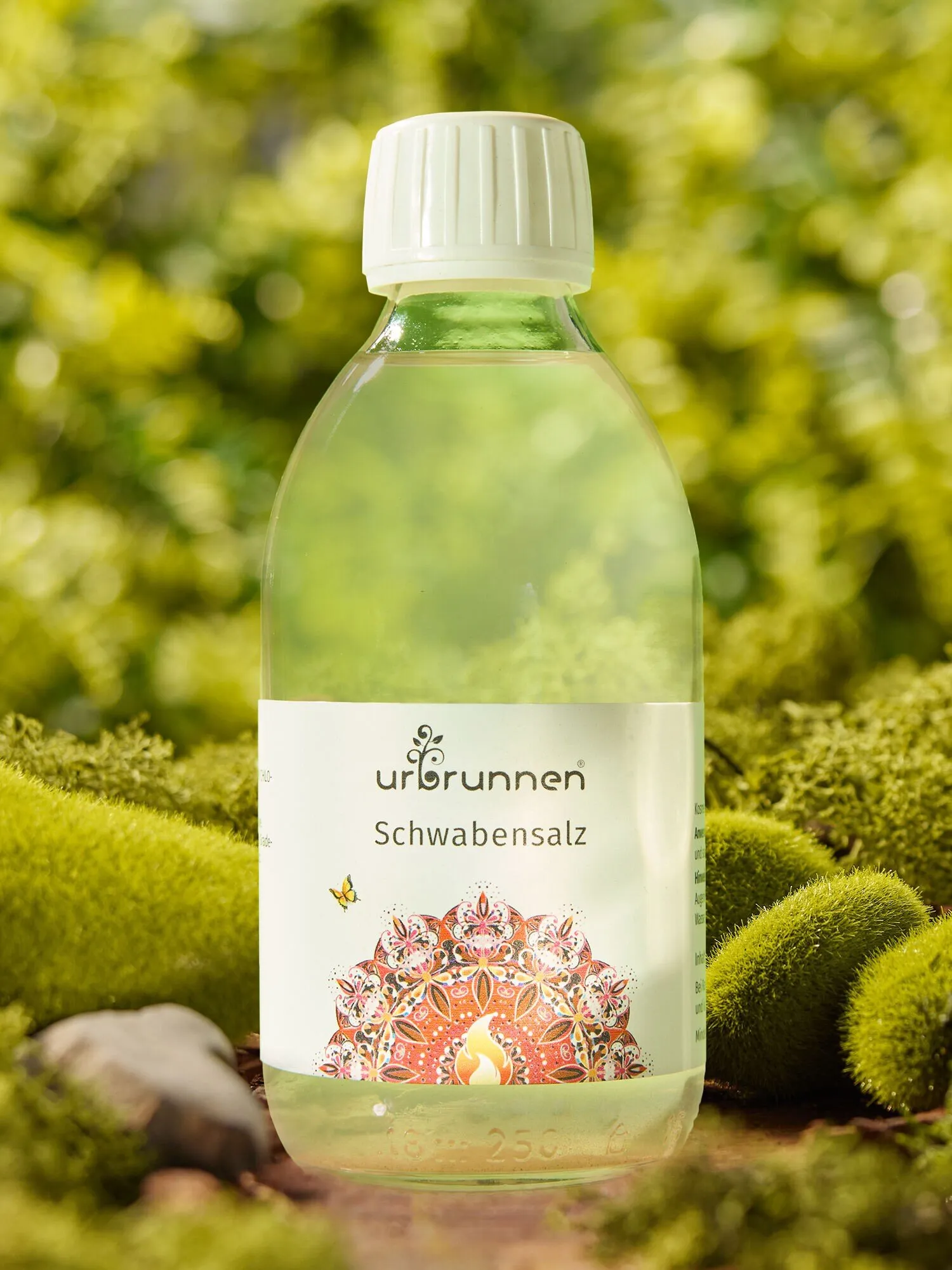 Schwabensalz - Image 2