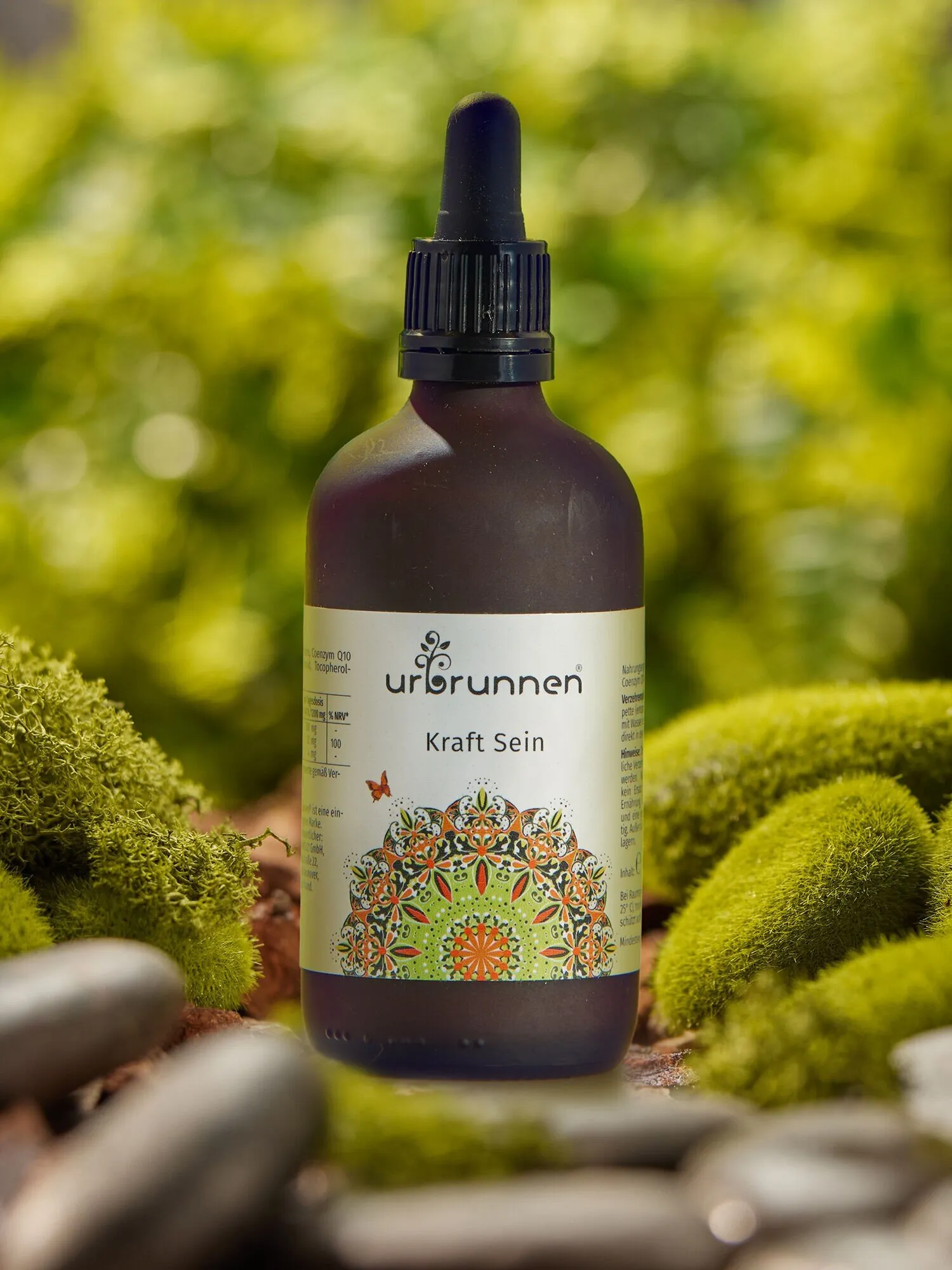 Kraft Sein – Abo - Image 3