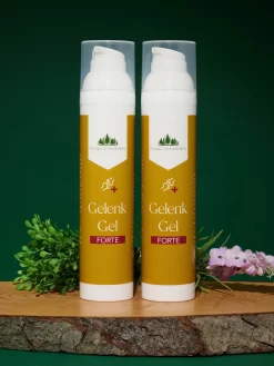 Gelenk-Gel Forte, 2er-Set