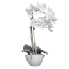 Orchidee In Keramikschale Mit Schnee, 49 Cm