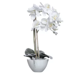Orchidee In Keramikschale Mit Schnee, 49 Cm