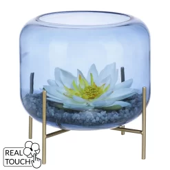 Glasschale M. Seerose Und Kies